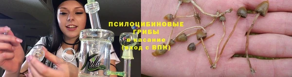 бутират Алзамай