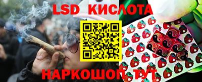 СК Краснодар