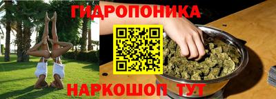 СК Краснодар