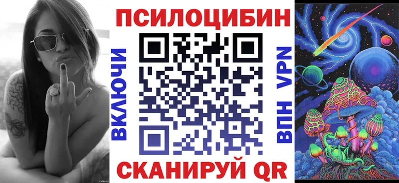 где найти   Петровск  площадка наркотические препараты  Псилоцибиновые грибы прущие грибы 