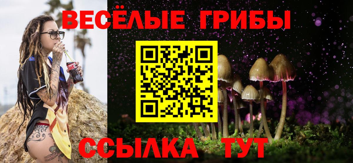 Галлюциногенные грибы прущие грибы  Вход с VPN  как найти   Петровск 