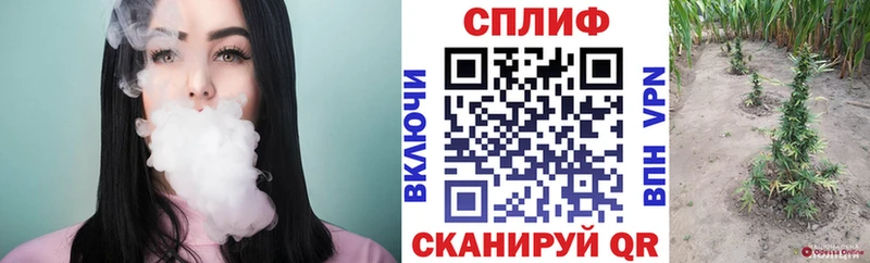 Бошки Шишки тримм Петровск