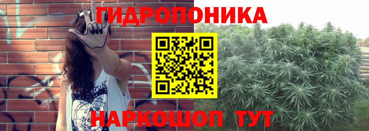 Петровск  МАРИХУАНА ГИДРОПОН  Вход с VPN  Марихуана сатива  МАРИХУАНА тримм 
